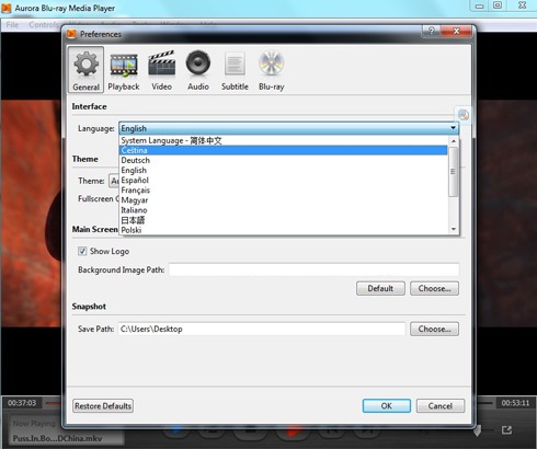 flv media player